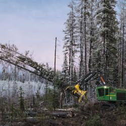 M-Series Feller Bunchers – 953M
