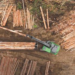 Forestry/Logging
