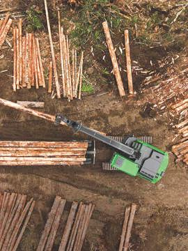 Forestry/Logging