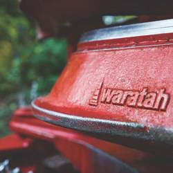Waratah