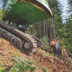 Forestry/Logging 3