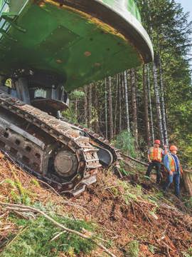 Forestry/Logging 3