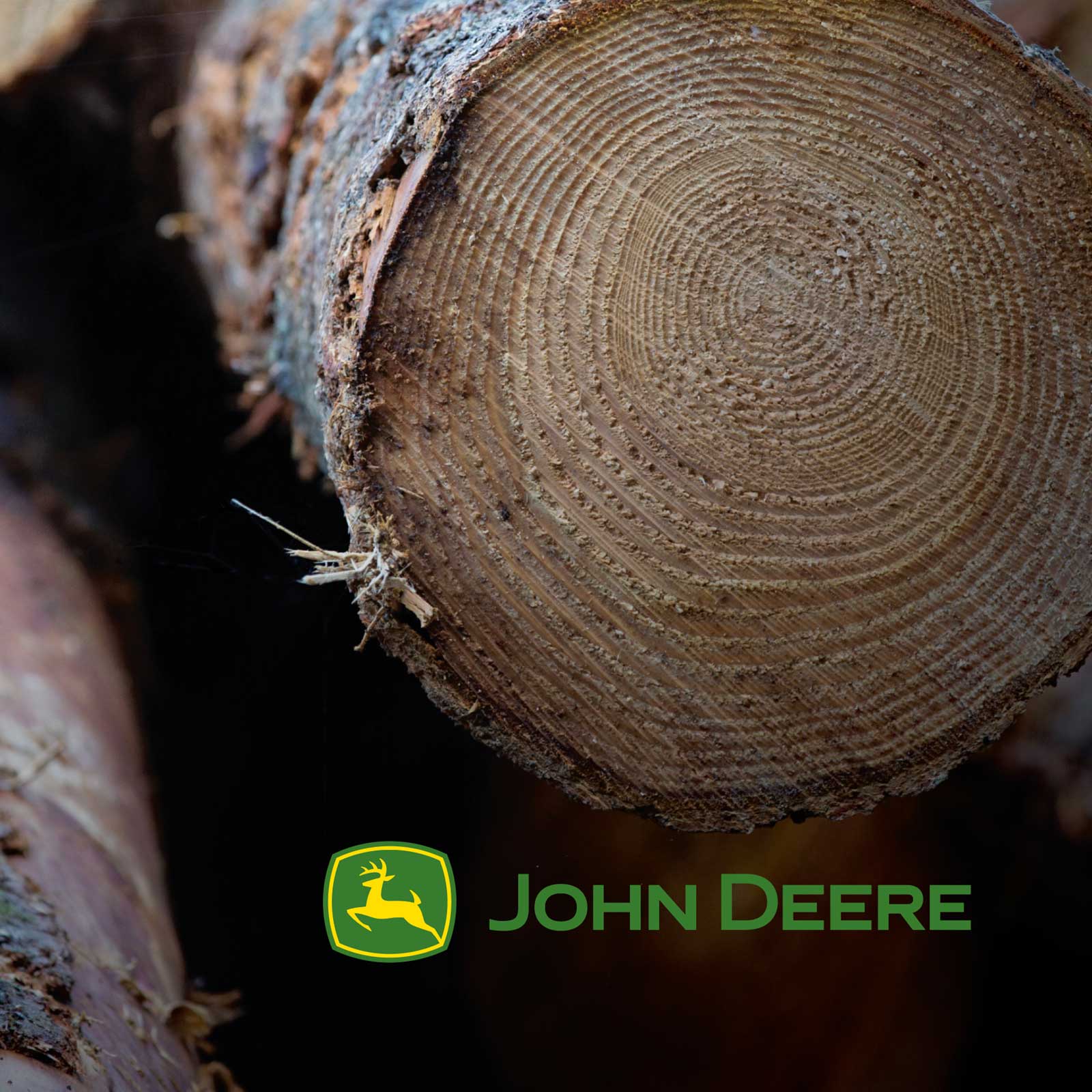 Brand Poster – Forestry